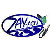 logo zay actu