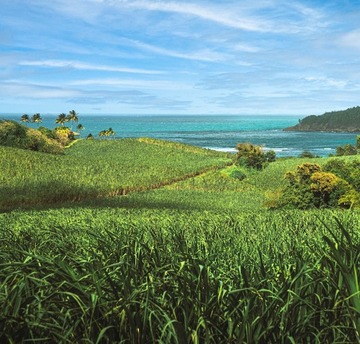 Photo d'un paysage de la Martinique