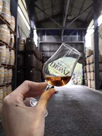 Dégustation du rhum Depaz