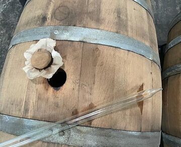Fut de chêne de la distillerie JM à Macouba