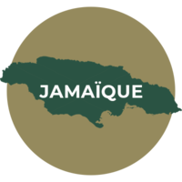 Illustration des rhums de Jamaïque