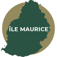 Illustration des rhums de l'Île Maurice