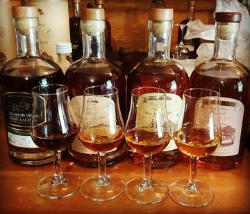 Rhum Bielle de Marie-Galante - La distillerie Bielle - dégustation brut de fût