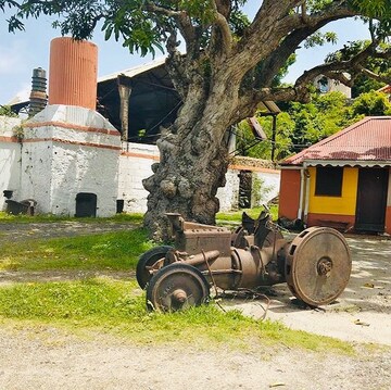 Rhum Hardy de Martinique - Distillerie