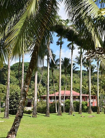 Rhum HSE de Martinique - La distillerie HSE - Photo 1