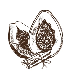 Ti'Bio : illustration papaye cannelle