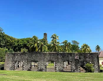 Rhums de Martinique